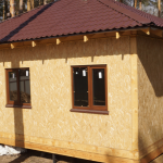 ramenskoe5