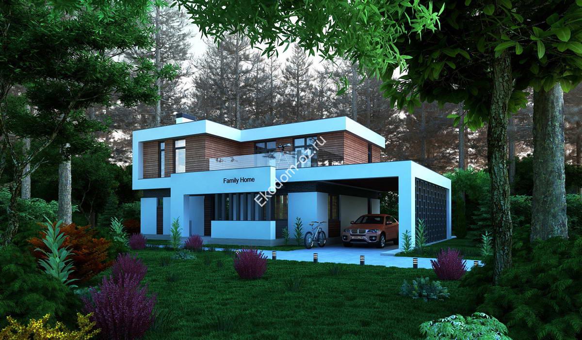 Forest House